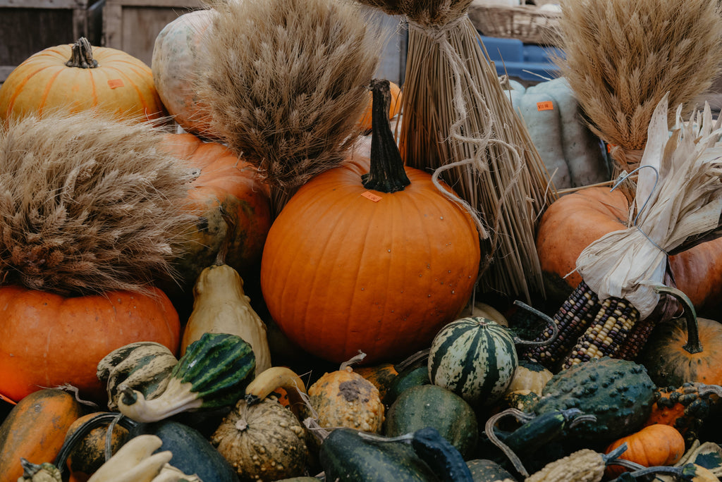 Happy Fall! 🍂🍁🍂